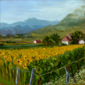 20120501212534-2012-03-29_1410-adapbrown-2011-sunflower_field__france-flat