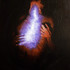 20120502035629-chrysalis