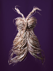 20120502051253-burdockroot