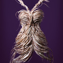 20120502051253-burdockroot