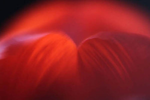 20120502075938-2lips_2