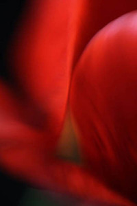 20120502080116-2lips_3