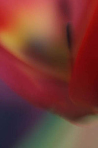 20120502080234-2lips_5