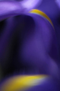 20120502080554-lightmovementi