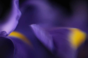 20120502080722-lightmovementii
