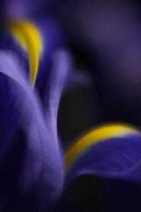 20120502080901-lightmovementiii