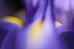 20120502081031-theoddoneii