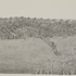 20120502081347-crocodile