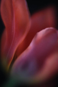 20120502081713-above2_img_8318