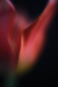20120502081841-above3_img_8308