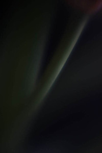 20120502081956-below1_img_7288