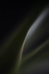 20120502082101-below2_img_7278