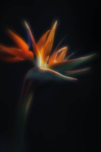 20120502082748-threes_graces