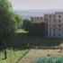 20120502110110-savu1