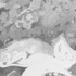 20120502151008-01