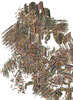 20120502160656-david_obrien_friendship_drawing_zzzsleepytimezzz_2012_2017_412