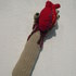 20120503020402-dscn2437