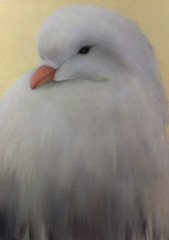 Bird,Jill Douglas