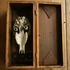 20120504004055-sskulleye