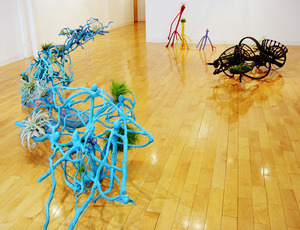 20120504005943-habits-gallery-installw