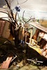 20120504035656-mittag