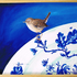 20120504094618-blucard2