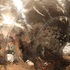 20120504124225-boobcover022aflipm