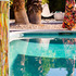 20120505003654-4_solo_images