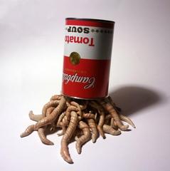Can of Worms,Chet Zar