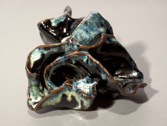 20120506025844-webbluecoral