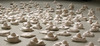 20120506133146-birthoftheunknown_future_000
