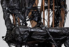 20120506150748-wm12_248