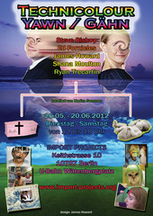 Exhibition flyer TECHNICOLOUR YAWN,James Howard