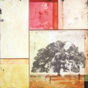 20120506232932-sentinel__gold_oak__24x24