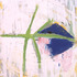 20120507065138-zc