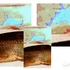 20120507071541-imagedefinitive_hareng_sign_