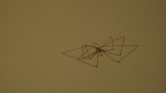 20120507160521-mvi_3050