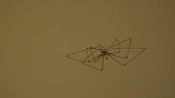 20120507160521-mvi_3050