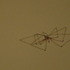 20120507160521-mvi_3050