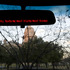 20120508103956-jillmagid_0173_rearview72d