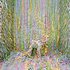 20120508124509-_thumb_loose_jpg_230x350_detail_q85