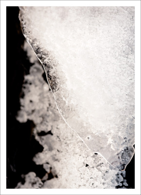 20120508160632-brittle-profile_mg_8057