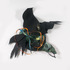 20120508185714-crow