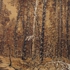 Winter_landscape
