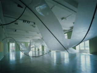 documenta 12,Iole de Freitas