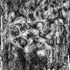20120508201152-drawing7