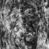 20120508201419-drawing9