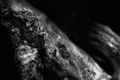 20120508205930-_mg_6897a