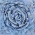 20120508232400-beate_amler