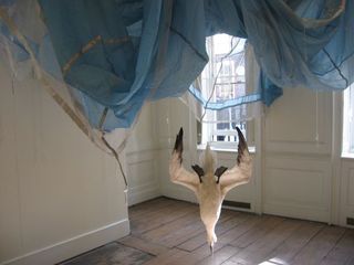 Parachute,Dorothy Cross